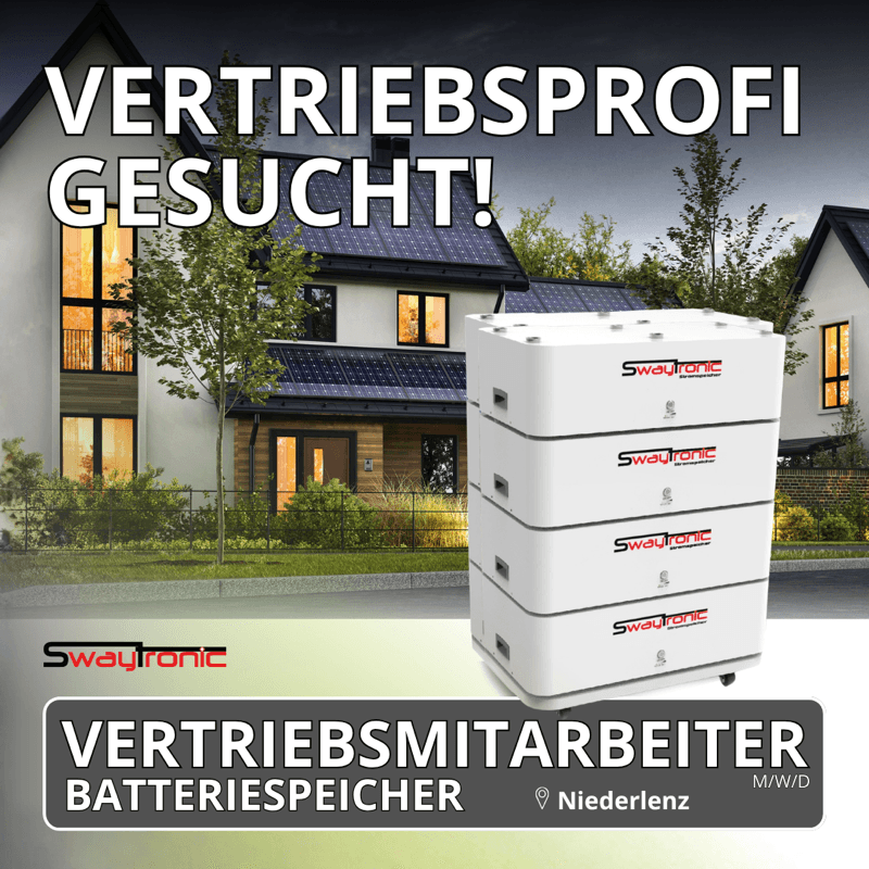Werbeanzeige Technischer Vertrieb Batteriespeicher, Swaytronic — zweites Motiv